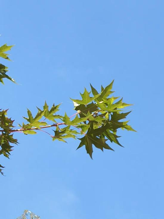 微信图片_2025-10-10_092738_135